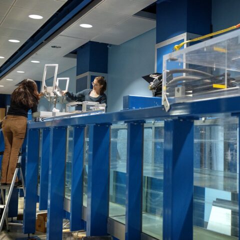 Kavya Mittha ’26, left, and Aisha Brundan ’25 prepare to submerge and test their bobbing buoy wave energy converter at the DeFrees Hydraulics Lab.