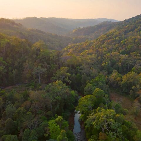 Sunset in Mondulkiri Project forest, Saen Monorom (Mondulkiri), Cambodia (iStock)
