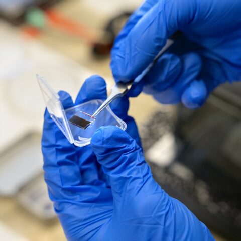 Research working with John Marohn pulls a perovskite crystal from its protective casing. (Ryan Young/Cornell University)